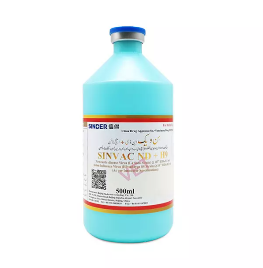 Qual é a maneira mais comum de as galinhas obter doenças?