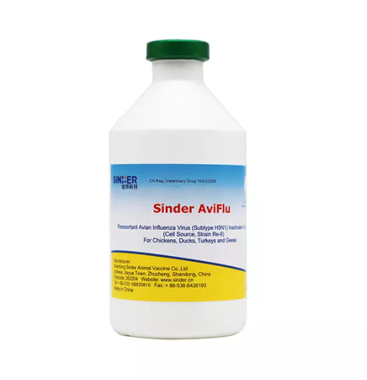 Como a gripe aviária afeta a saúde das aves?