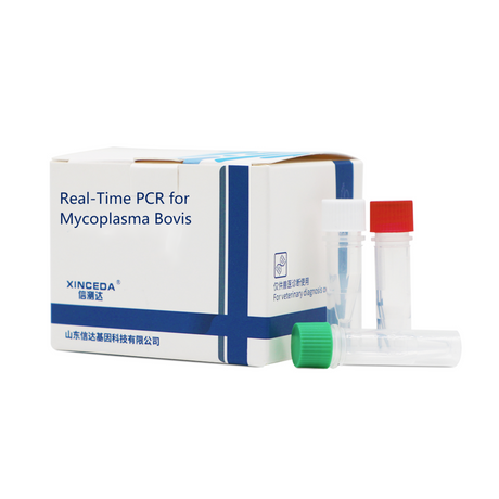 Mycoplasma Bovic PCR试剂盒(1).png