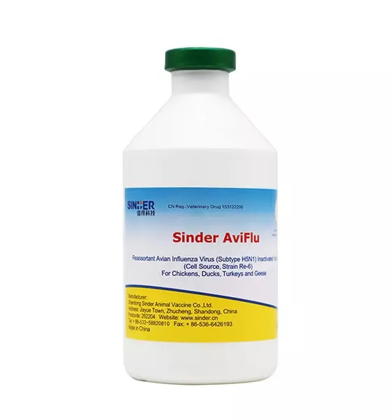 Proteja seu investimento em gado com nossas vacinas testadas e comprovadas