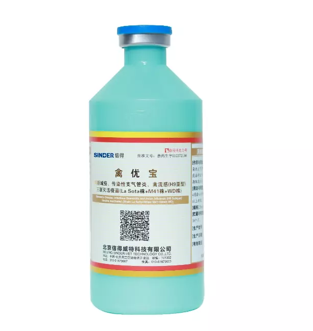 Um Guia Completo de Calendários de Vacinação para Aves, Aves, Suínos e Bovinos