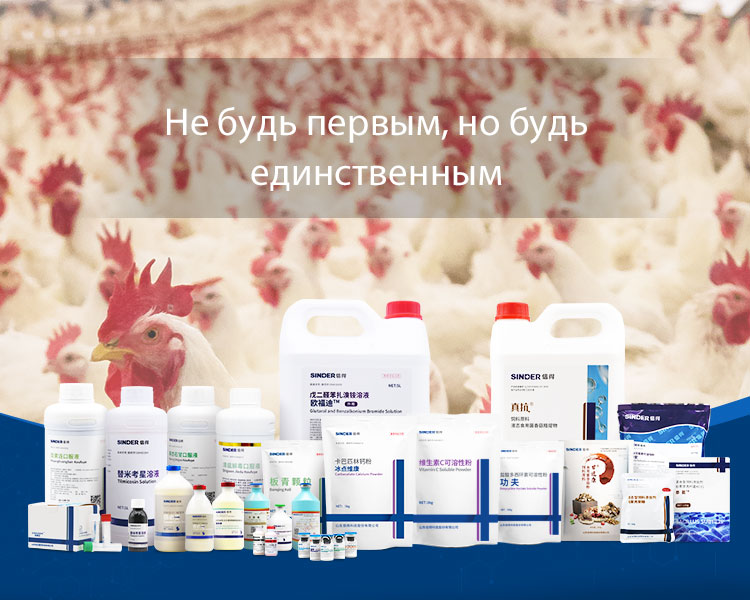 O Papel da Medicina na Manutenção da Saúde do Gado