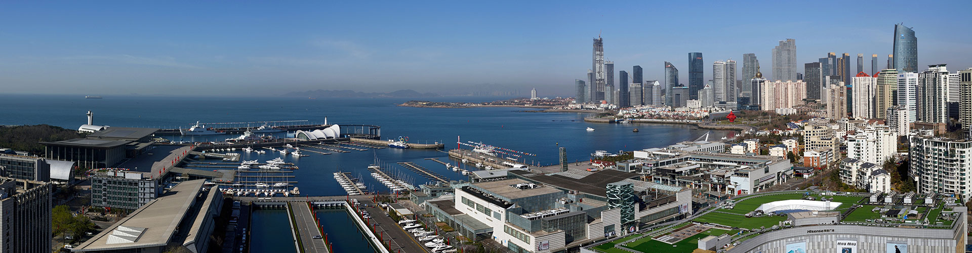 Medicamento orgânico para aves, fabricante de vacina contra peste suína