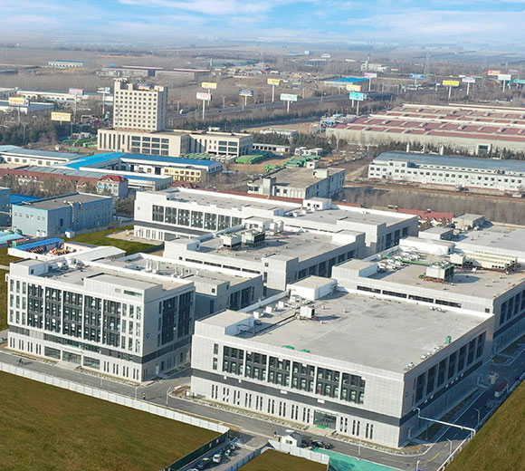 Vacina para Suínos, Medicamento para Aves - Sinder