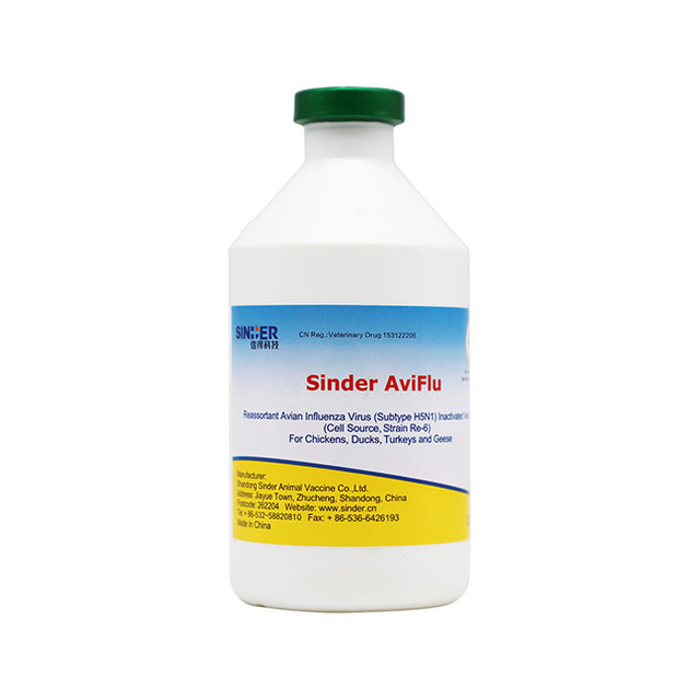 Vacina Inativada AIV H5N1 Re-6